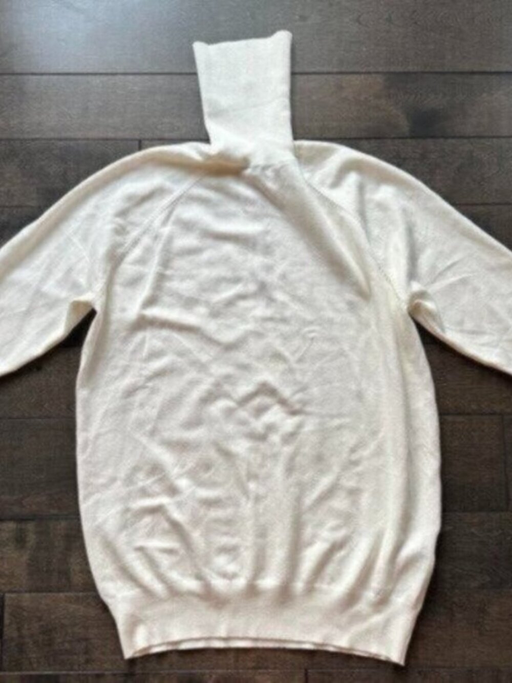 Zara Turtleneck Sweater - new with tags